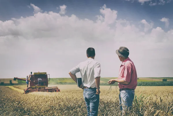 Menschen bei der Ernte — Stockfoto