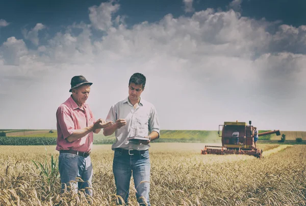 Menschen bei der Ernte — Stockfoto