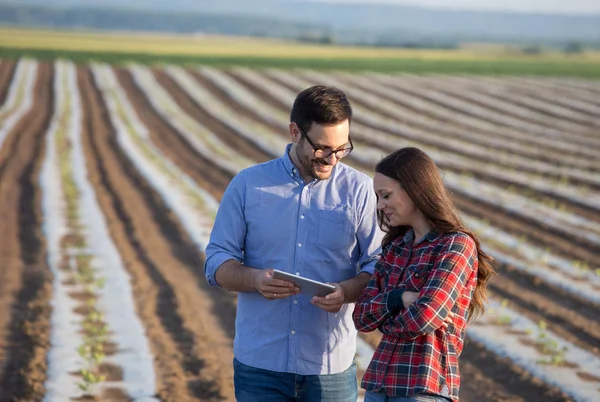 Agricoltore e agronomo che parlano sul campo — Foto Stock