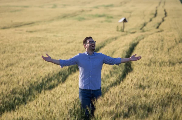 Granjero feliz con los brazos levantados en campo de cebada —  Fotos de Stock