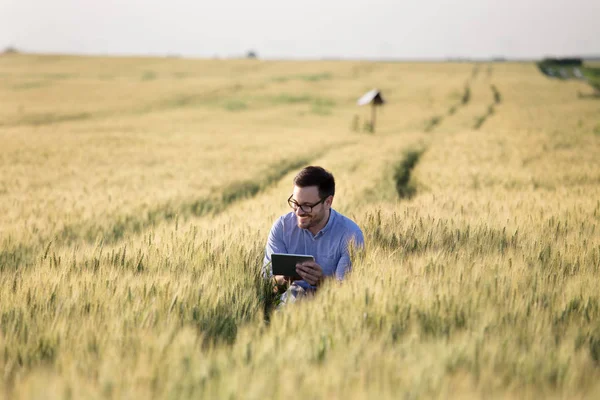 Agricultor com tablet no campo de cevada — Fotografia de Stock