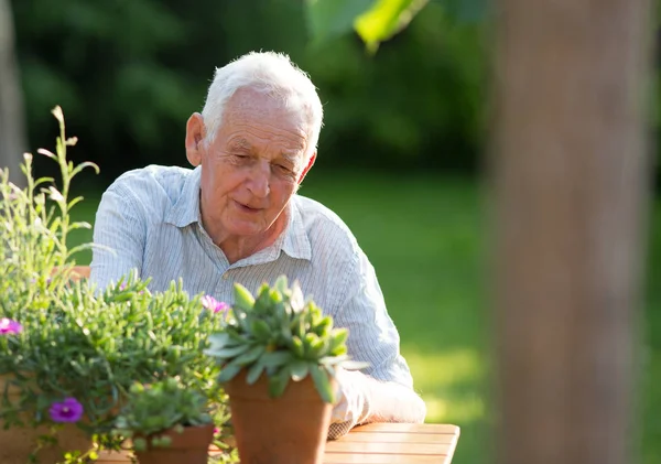 Gubben tar hand om växter — Stockfoto