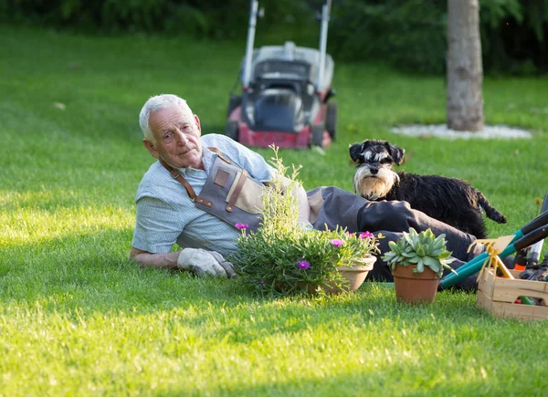 Hombre mayor con perro descansando en el césped —  Fotos de Stock