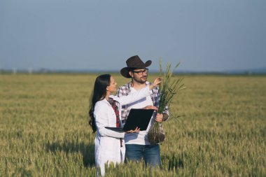 Buğday tarlasında çiftçi ve tarım uzmanı