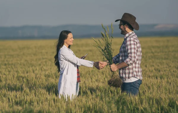 Agricoltore e agronomo che si stringono la mano sul campo — Foto Stock