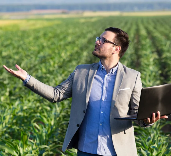 Uomo d'affari con laptop nel campo del mais — Foto Stock