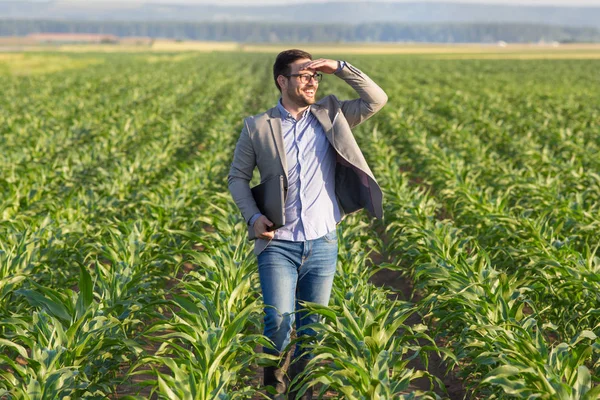 Empresário com laptop no campo de milho — Fotografia de Stock