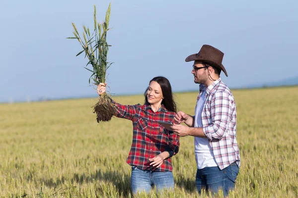 Zwei Bauern im Weizenfeld — Stockfoto