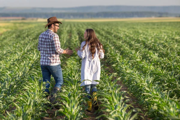 Agricultor y agrónomo en campo de trigo — Foto de Stock