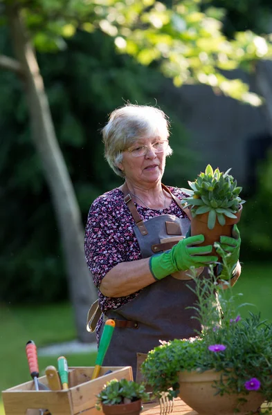 Mulher sênior cuidando de plantas — Fotografia de Stock