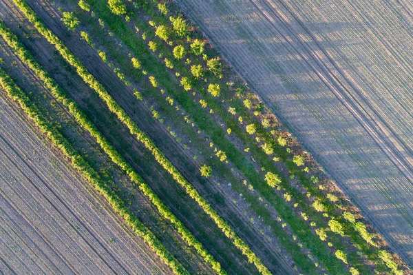 Blick von oben auf landwirtschaftliche Felder — Stockfoto