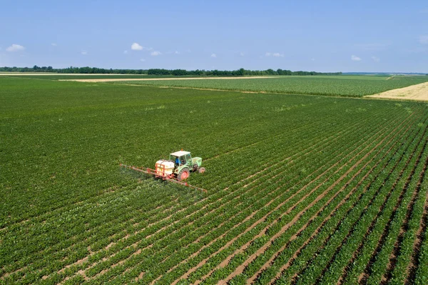 Traktor bespruta sojabönor fält — Stockfoto