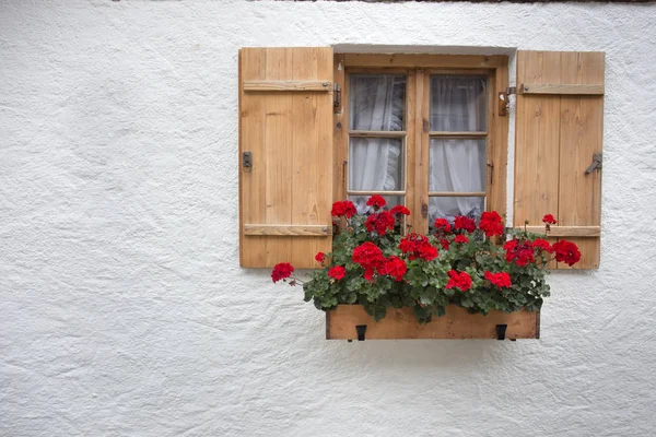 Rote Geranien auf Holzfenster — Stockfoto