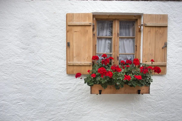 Röda pelargoner på träfönster — Stockfoto