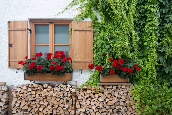 Fenster mit Geranien an der Außenwand — Stockfoto