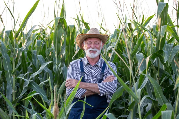 Vecchio agricoltore con braccia incrociate nel campo di mais — Foto Stock