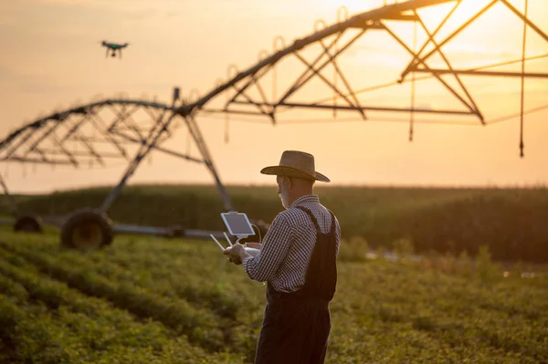 Agricultor com drone no campo com sistema de irrigação — Fotografia de Stock