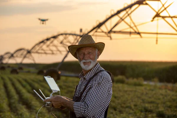 Stary rolnik z dronem w polu — Zdjęcie stockowe