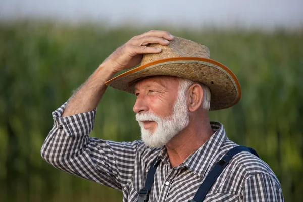 Retrato del viejo granjero con barba blanca — Foto de Stock