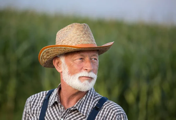 Portrait de vieux fermier à barbe blanche — Photo