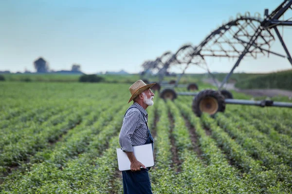 Agricoltore con laptop nel campo della soia — Foto Stock