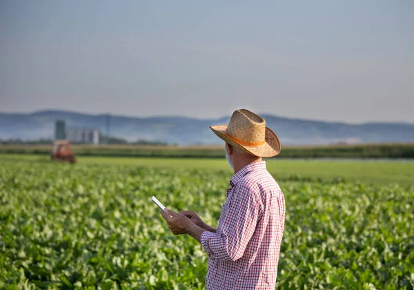 Tarlada traktör önünde tablet ile Çiftçi — Stok fotoğraf