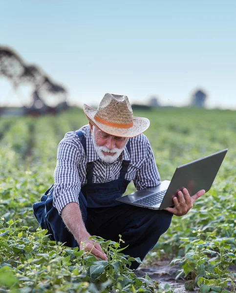 Alan içinde laptop ile çiftçi