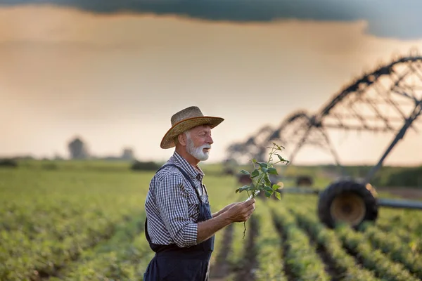 田间灌溉系统前面的农民 — 图库照片