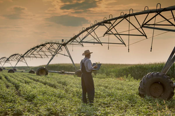 Tarlada sulama sistemi önünde dizüstü bilgisayar ile Çiftçi
