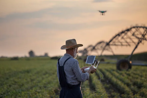 Petani dengan drone di lapangan dengan sistem irigasi — Stok Foto