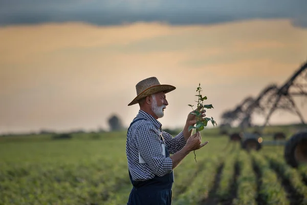 Agricoltore di fronte al sistema di irrigazione in campo — Foto Stock