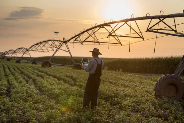 Landwirt mit Drohne auf Feld mit Bewässerungssystem — Stockfoto