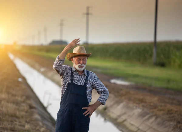 Agricoltore maturo di fronte al campo agricolo — Foto Stock