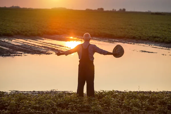 Agricultor de pie junto al estanque en el campo agrícola — Foto de Stock