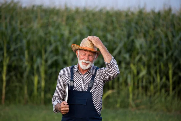 Portrét starého farmáře s bílým plnovousem — Stock fotografie
