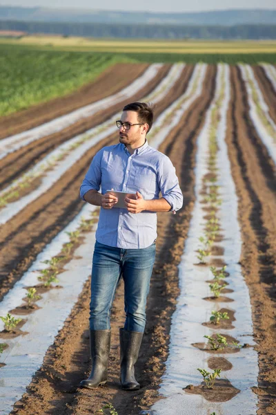 Agricultor com comprimido no solo — Fotografia de Stock