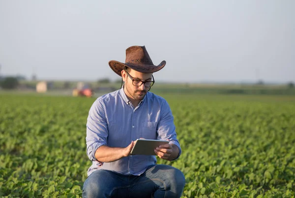 Agricultor com tablet em campo de soja — Fotografia de Stock