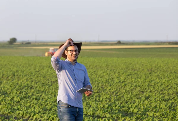 Landwirt mit Tablette auf Sojabohnenfeld — Stockfoto