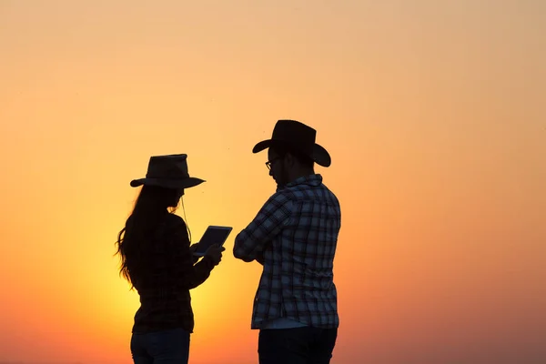 Agricultores homem e mulher em pé no campo ao pôr do sol — Fotografia de Stock