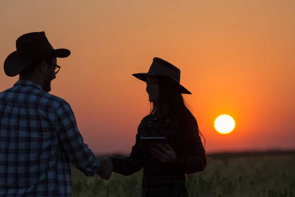 日没時に握手をする農民たち — ストック写真
