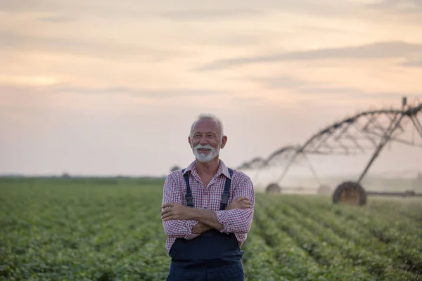 Agricultor sénior em frente ao sistema de irrigação — Fotografia de Stock