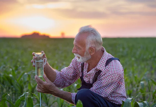 Agriculteur à côté du pluviomètre dans le champ de maïs — Photo