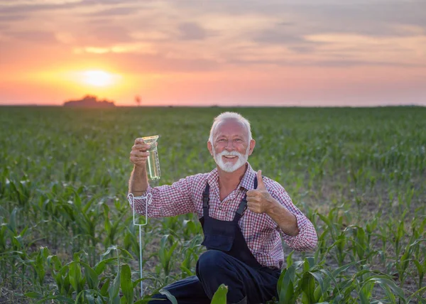 トウモロコシ畑に雨量計を持つ農家 — ストック写真