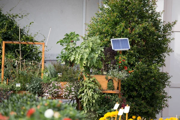 Garten mit Sonnenkollektor — Stockfoto