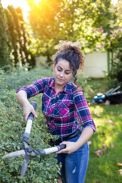 Жінка обрізає огорожу в саду — стокове фото