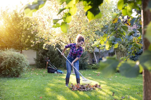Женщина сгребает листья на газоне — стоковое фото