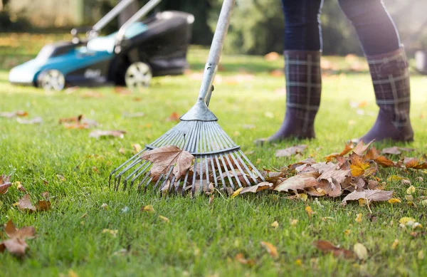 Raking leaves in garden — Stok Foto