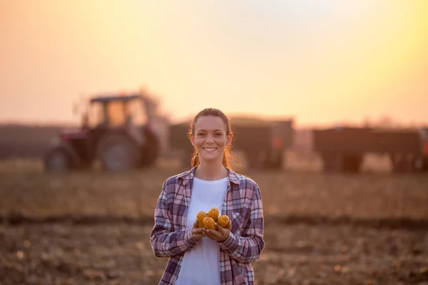 Farmářka s kukuřičnými klasy během sklizně v terénu — Stock fotografie