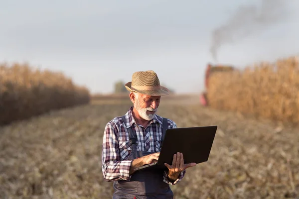 Agricoltore con computer portatile al raccolto di mais — Foto Stock