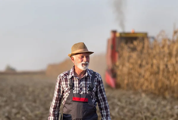 Agricultor na colheita de milho — Fotografia de Stock